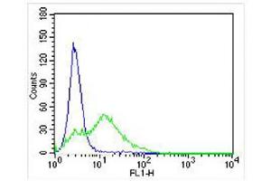 Overlay histogram showing U-87 MG cells stained with (ABIN6242283 and ABIN6578055) (green line). (DRD5 antibody  (C-Term))