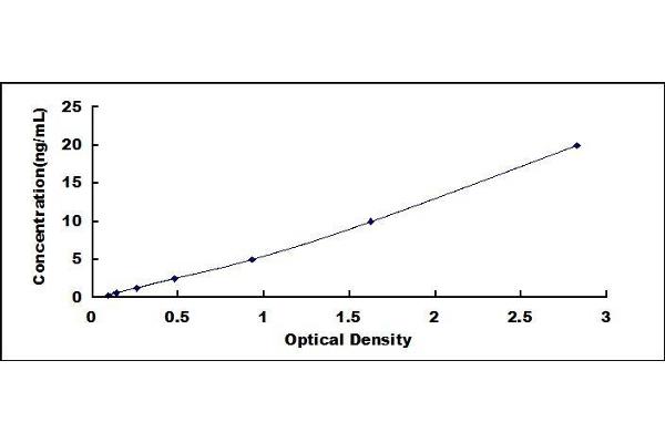 CD131 ELISA Kit