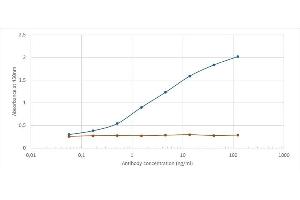 Binding curve of anti-CD56 antibody NCAM12. (Recombinant CD56 antibody)