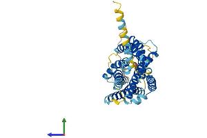 AlphaFold protein structure predicition of Human Recombinant P2RY10 Protein, UniprotID O00398