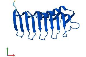 AlphaFold protein structure predicition of Human Recombinant MORN4 Protein, UniprotID Q8NDC4