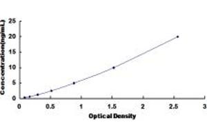 Typical standard curve (HDAC5 ELISA Kit)