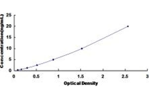 HDAC5 ELISA Kit