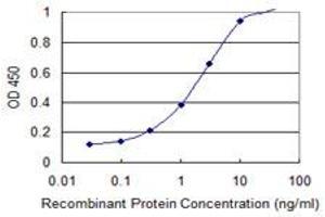 Detection limit for recombinant GST tagged DFFA is 0. (DFFA antibody  (AA 231-331))