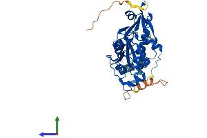 AlphaFold protein structure predicition of Human Recombinant PCYT2 Protein, UniprotID Q99447 (PCYT2 Protein (AA 1-389) (His tag))