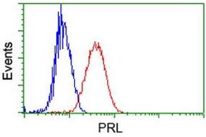 Image no. 6 for anti-Prolactin (PRL) antibody (ABIN1500429)