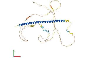AlphaFold protein structure predicition of Mouse Recombinant Atf4 Protein, UniprotID Q06507 (ATF4 Protein (AA 1-349) (His tag))