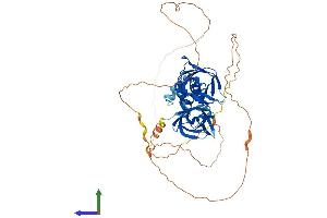 AlphaFold protein structure predicition of Mouse Recombinant Mndal Protein, UniprotID D0QMC3 (Mndal Protein (AA 1-538) (His tag))
