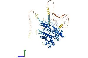 AlphaFold protein structure predicition of Human Recombinant SEC63 Protein, UniprotID Q9UGP8