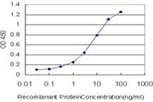 Detection limit for recombinant GST tagged ERMAP is approximately 0. (ERMAP antibody  (AA 376-475))