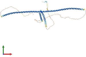 Protein Structure (PS) image for Centrosomal Protein 57kDa-Like 1 (CEP57L1) (AA 1-460) protein (His tag) (ABIN7553346)