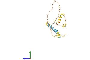 AlphaFold protein structure predicition of Human Recombinant C2orf83 Protein, UniprotID Q53S99 (C2ORF83 Protein (AA 1-150) (His tag))