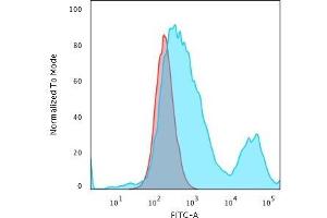 Flow Cytometric Analysis of PFA-fixed HeLa cells using Cytokeratin 18 Mouse Monoclonal Antibody (C-04) followed by Goat anti-Mouse IgG-CF488 (Blue); Isotype Control (Red) (Cytokeratin 18 antibody)