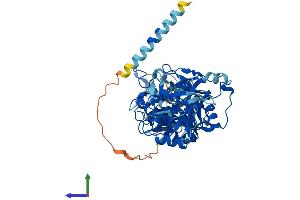 Protein Structure (PS) image for Williams-Beuren Syndrome Chromosome Region 17 (WBSCR17) (AA 1-558) protein (His tag) (ABIN7561569)