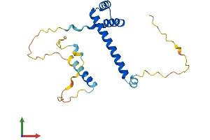 Protein Structure (PS) image for Ladybird Homeobox 2 (LBX2) (AA 1-198) protein (His tag) (ABIN7548950)