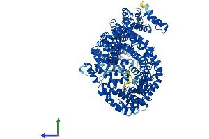 Protein Structure (PS) image for Importin 11 (IPO11) (AA 1-975) protein (His tag) (ABIN7564640)