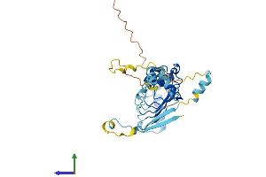 AlphaFold protein structure predicition of Human Recombinant LRRC72 Protein, UniprotID A6NJI9 (LRRC72 Protein (AA 1-287) (His tag))