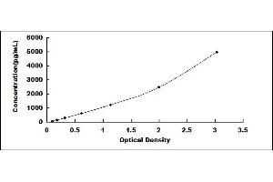 PKM2 ELISA Kit