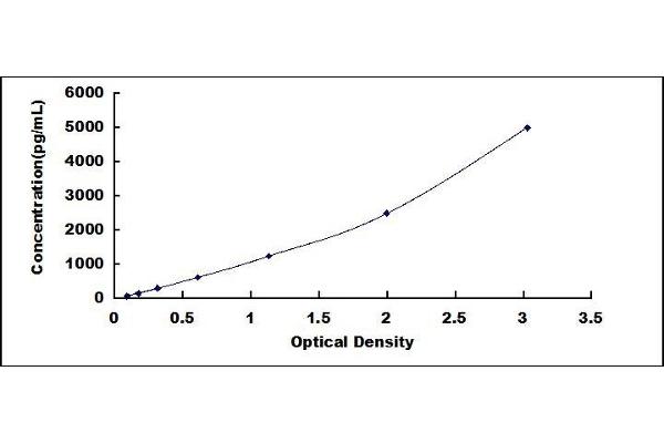 PKM2 ELISA Kit