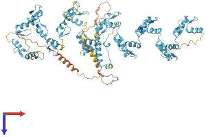 AlphaFold protein structure predicition of Human Recombinant ZNF616 Protein, UniprotID Q08AN1 (ZNF616 Protein (AA 1-781) (His tag))