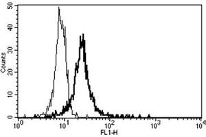 Flow Cytometry (FACS) image for anti-Thrombomodulin (THBD) antibody (FITC) (ABIN1105880) (Thrombomodulin antibody  (FITC))