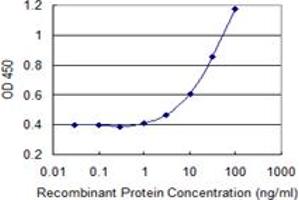 Detection limit for recombinant GST tagged LMO4 is 0. (LMO4 antibody  (AA 1-165))