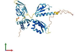AlphaFold protein structure predicition of Human Recombinant RBM43 Protein, UniprotID Q6ZSC3