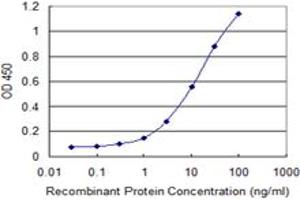 Detection limit for recombinant GST tagged COL14A1 is 0. (COL14A1 antibody  (AA 1-759))
