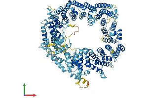 AlphaFold protein structure predicition of Human Recombinant RANBP17 Protein, UniprotID Q9H2T7 (RANBP17 Protein (AA 1-1088) (His tag))