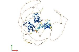 AlphaFold protein structure predicition of Mouse Recombinant Brd2 Protein, UniprotID Q7JJ13