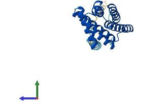AlphaFold protein structure predicition of Mouse Recombinant Tnfaip8 Protein, UniprotID Q921Z5