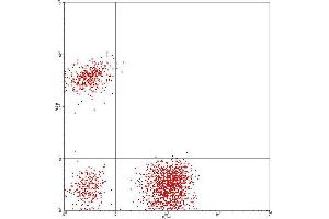 Flow Cytometry (FACS) image for anti-CD3/CD19 (CD3/CD19) antibody (FITC,PE) (ABIN2144405) (CD3 + CD19 antibody  (FITC,PE))