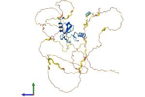 AlphaFold protein structure predicition of Human Recombinant CBLL1 Protein, UniprotID Q75N03