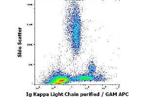 Flow cytometry surface staining pattern of human peripheral whole blood stained using anti-human Ig Kappa Light Chain (A8B5) purified antibody (concentration in sample 4 μg/mL, GAM APC).