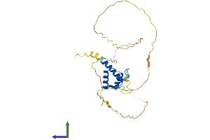 AlphaFold protein structure predicition of Human Recombinant HOXB5 Protein, UniprotID P09067 (HOXB5 Protein (AA 1-269) (His tag))