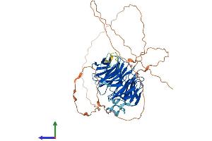 AlphaFold protein structure predicition of Human Recombinant WDR25 Protein, UniprotID Q64LD2