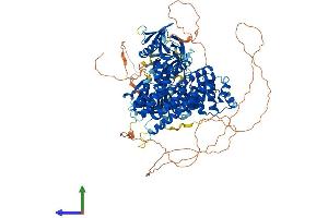 AlphaFold protein structure predicition of Human Recombinant FARP2 Protein, UniprotID O94887