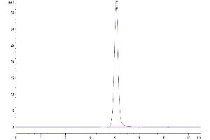 The purity of Human EPHA5 is greater than 95 % as determined by SEC-HPLC. (EPH Receptor A5 Protein (EPHA5) (AA 26-573) (His tag))