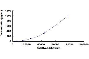 ELISA image for Interleukin 1, beta (IL1B) CLIA Kit (ABIN492075)