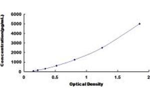 Typical standard curve (AGGF1 ELISA Kit)