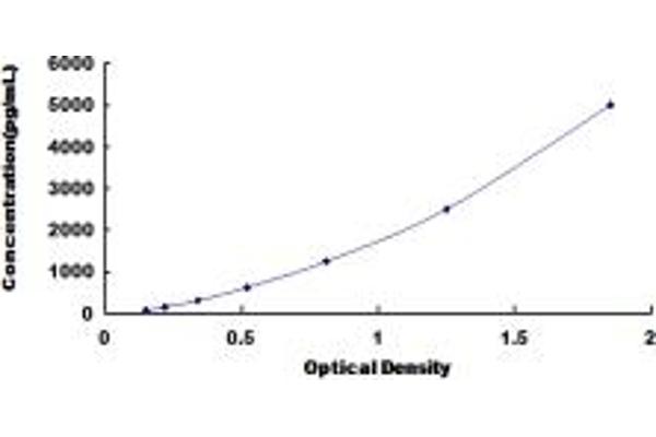 AGGF1 ELISA Kit