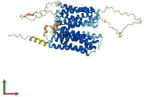 AlphaFold protein structure predicition of Mouse Recombinant Mfsd4a Protein, UniprotID Q6PDC8 (MFSD4 Protein (AA 1-510) (His tag))