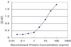 Detection limit for recombinant GST tagged HK2 is approximately 0. (Hexokinase 2 antibody  (AA 818-917))