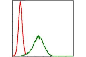 Flow cytometric analysis of HepG2 cells using NQO1 monoclonal antibody, clone 1A11  (green) and negative control (red).