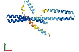 Protein Structure (PS) image for Charged Multivesicular Body Protein 1A (CHMP1A) (AA 1-196) protein (His tag) (ABIN7553370)