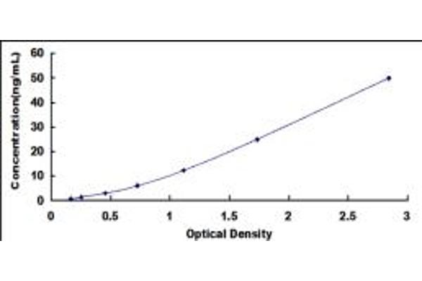 PRSS2 ELISA Kit