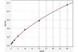 Typical standard curve (MITF ELISA Kit)