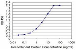 Detection limit for recombinant GST tagged TCF7 is approximately 0. (TCF7 antibody  (AA 287-384))