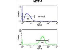 Flow Cytometry (FACS) image for anti-Nuclear Import 7 Homolog (NIP7) antibody (ABIN3003870) (NIP7 antibody)