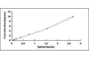 ELISA image for Major Histocompatibility Complex, Class I, B (HLA-B) ELISA Kit (ABIN3156954) (HLA-B ELISA Kit)